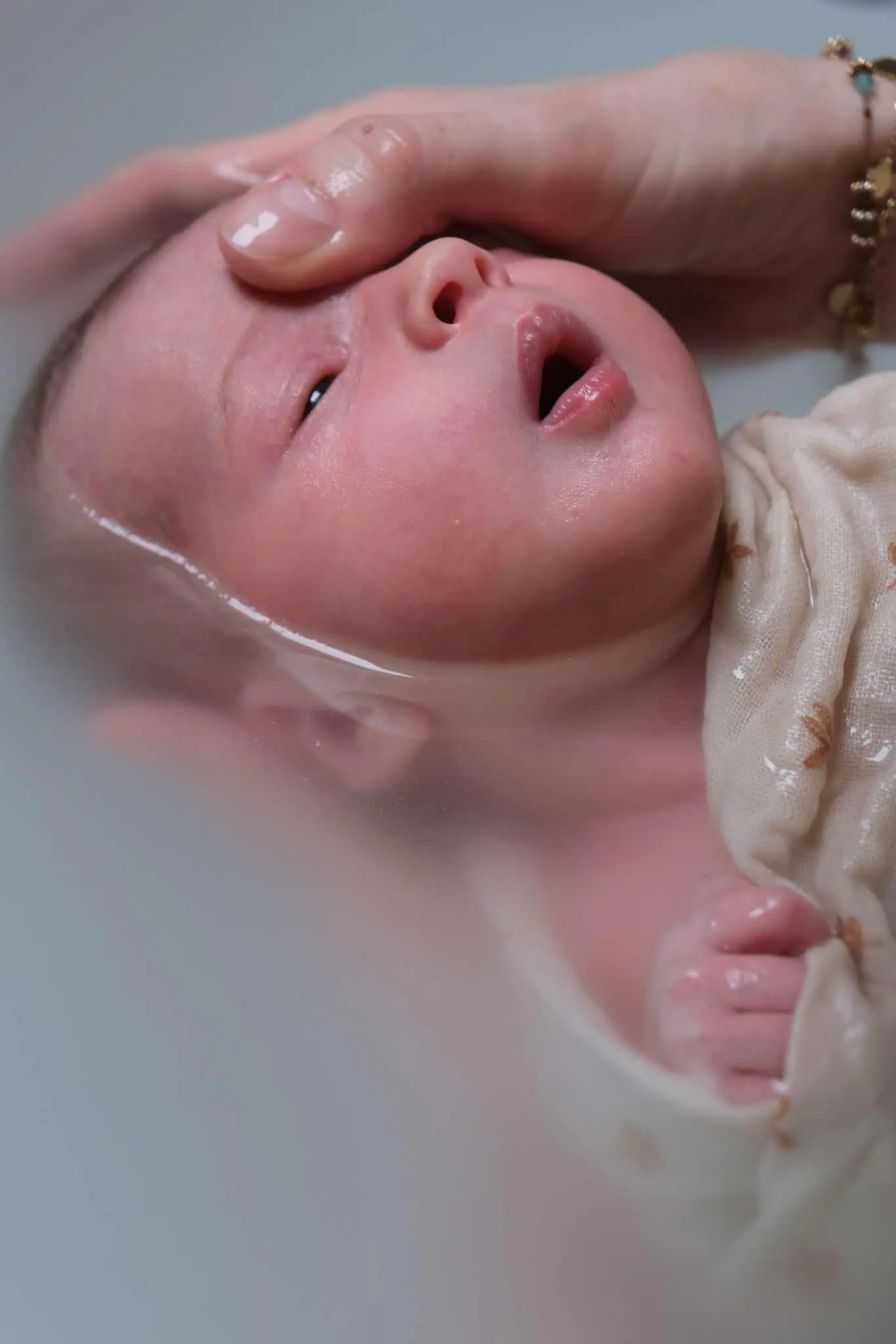 expérience extra utérine - Famille